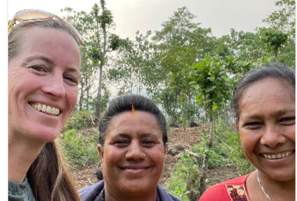 Revolutionizing the Tea Trade: Quality Over Quantity