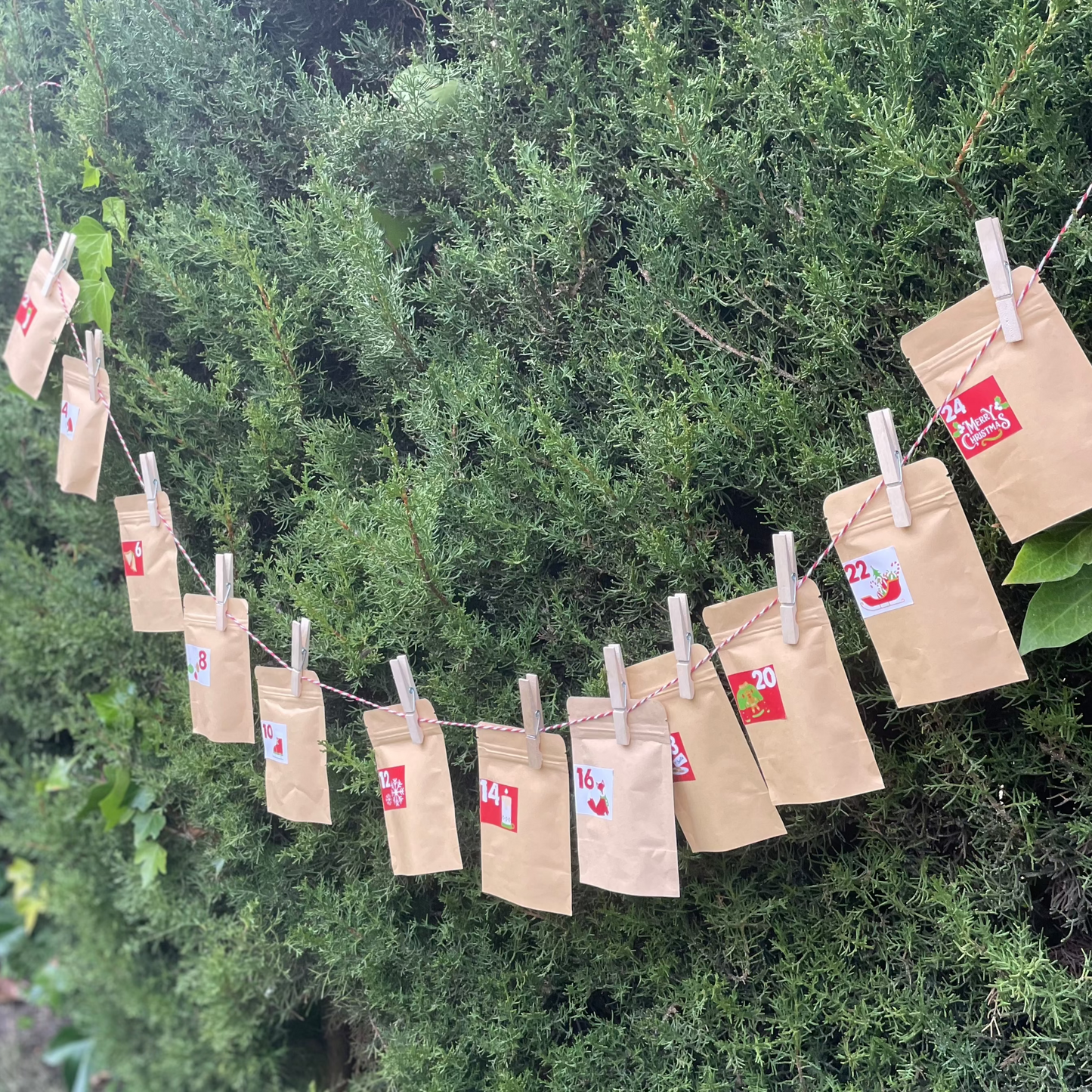 Tea Rebellion Advent Calendar