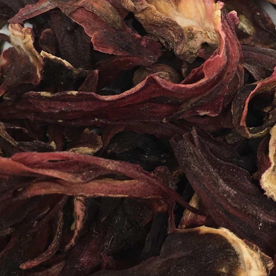 Red Hibiscus Satemwa Malawi tearebellion.com