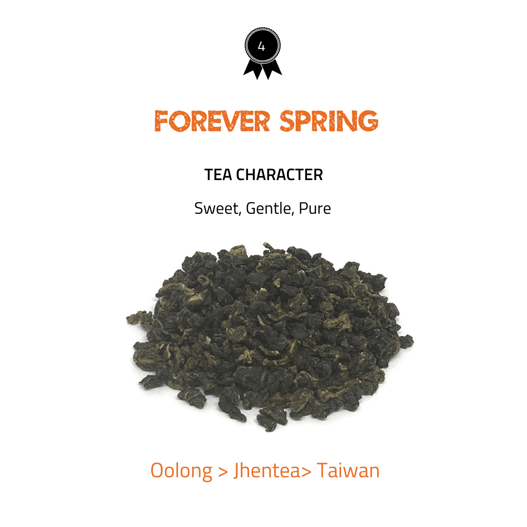 Toronto Tea Festival 2020 Winners - tearebellion