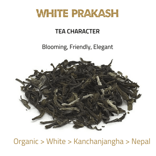 Toronto Tea Festival 2020 Winners - tearebellion