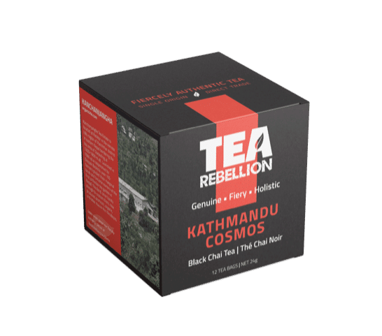 Kathmandu Cosmos - tearebellion