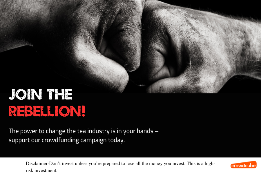 Transform the Tea Industry with Tea Rebellion