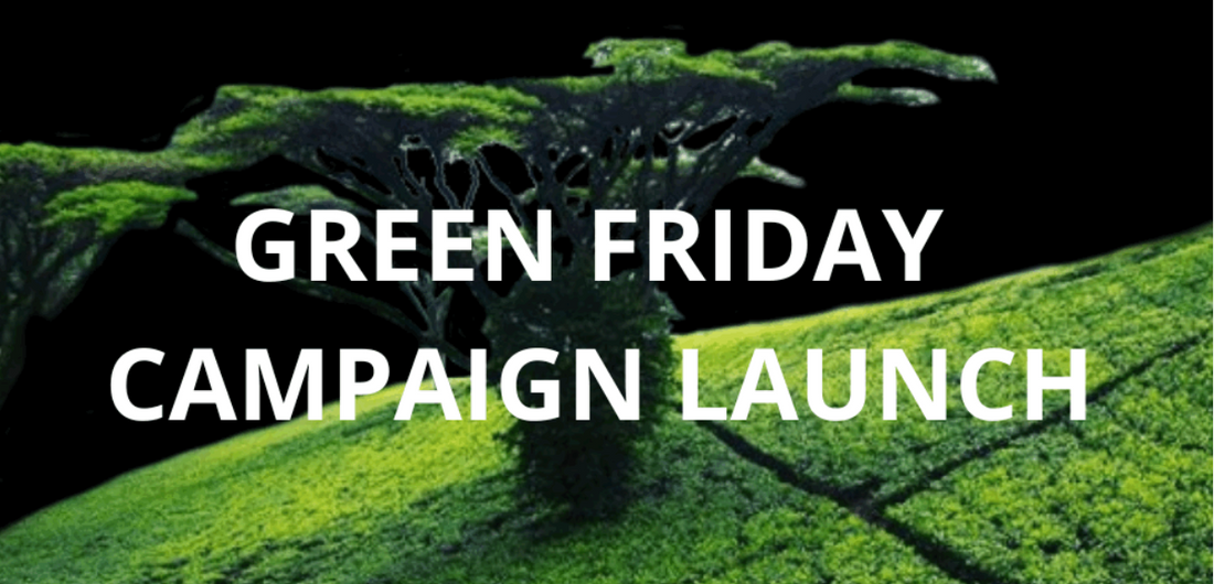 Green Friday with Tea Rebellion: A Sip of Change in Holiday Shopping