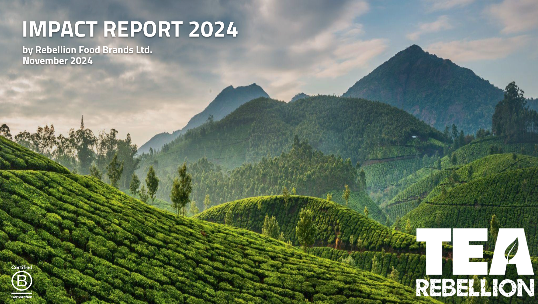 First Report Tea Tea Rebellion's First Full Impact Report - Launch to 2024