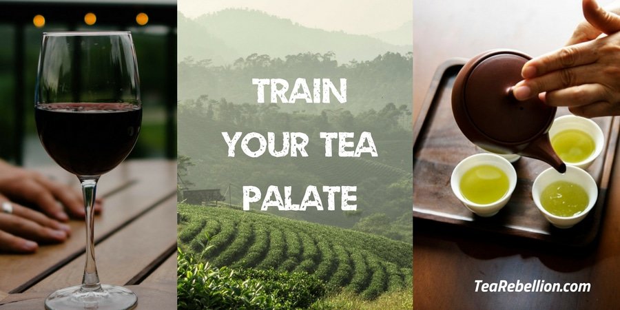 Train your (Tea) Palate - tearebellion