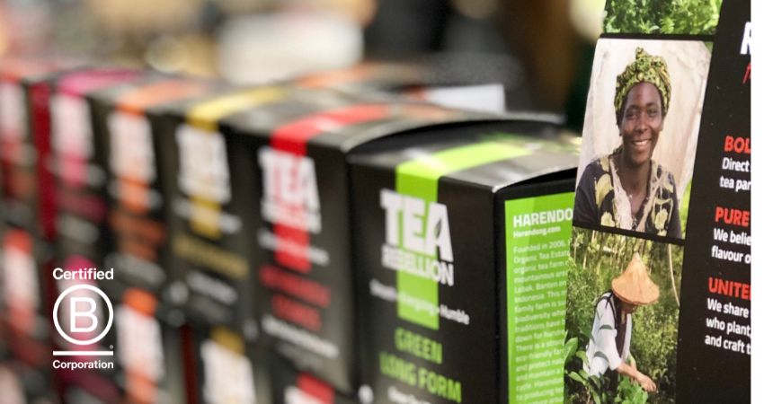 Tea Rebellion_ Compostable vs Recyclable in Consumer Packaging