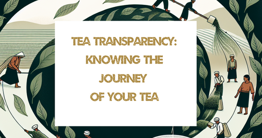 Tea Transparency: Knowing the Journey of Your Tea