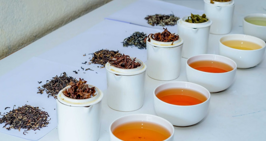 Tea Rebellion_From Novice to Tea Connoisseur