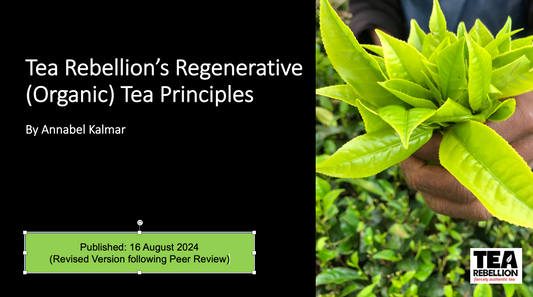 Tea Rebellions Regenerative Organic Tea Farming Principles