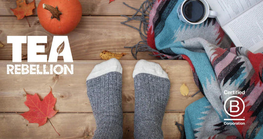 Celebrating Our B Corp Recertification 