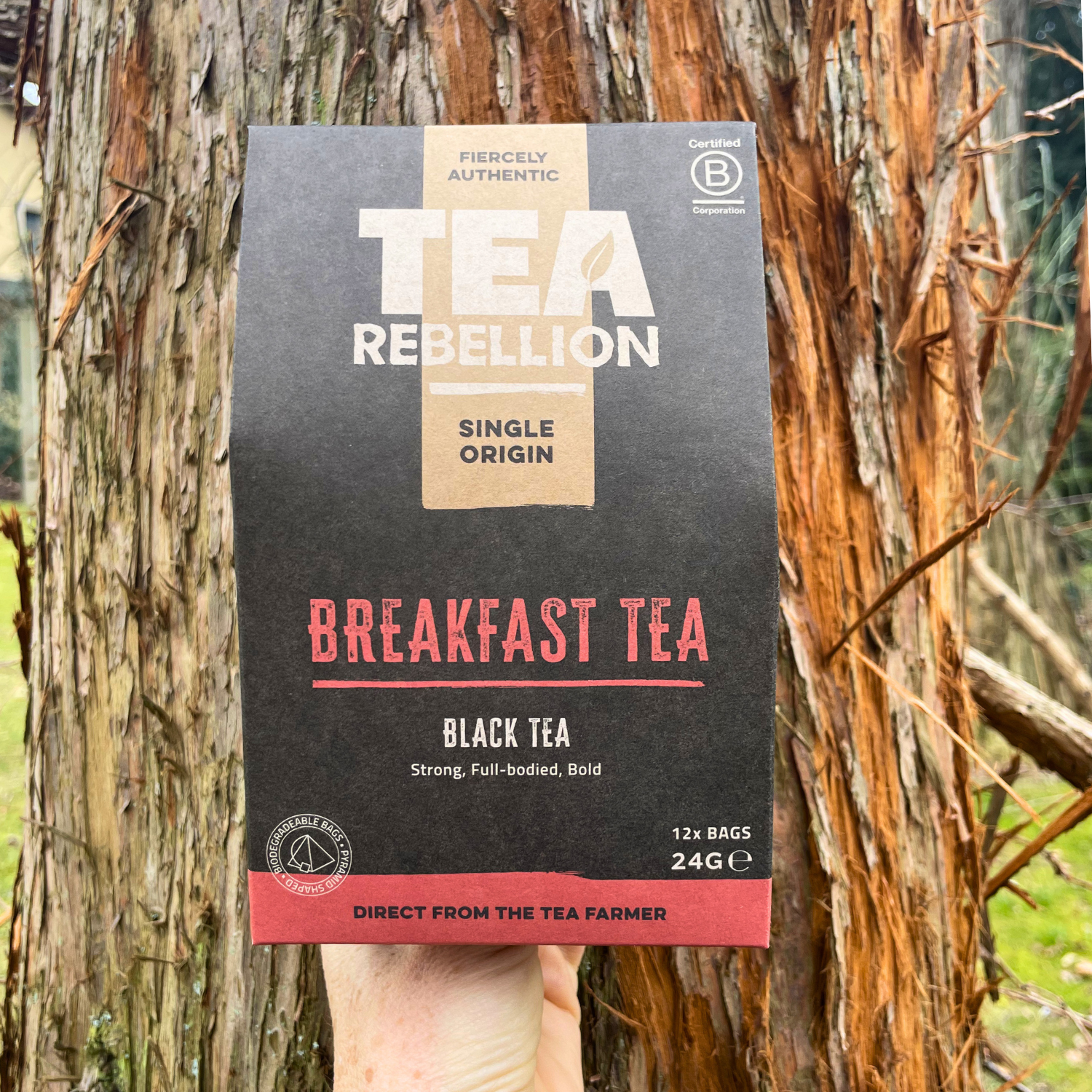Breakfast Tea