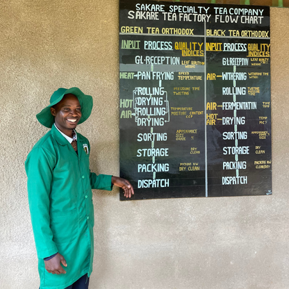 Hikima showing his Processing flow for Tea Rebellion