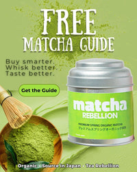 The Matcha Guide - All You Need To Know About Matcha