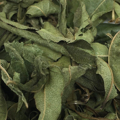 Lemon Verbena from Malawi, Satemwa tearebellion.com