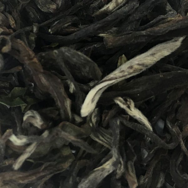 White Prakash, white tea, tearebellion.com